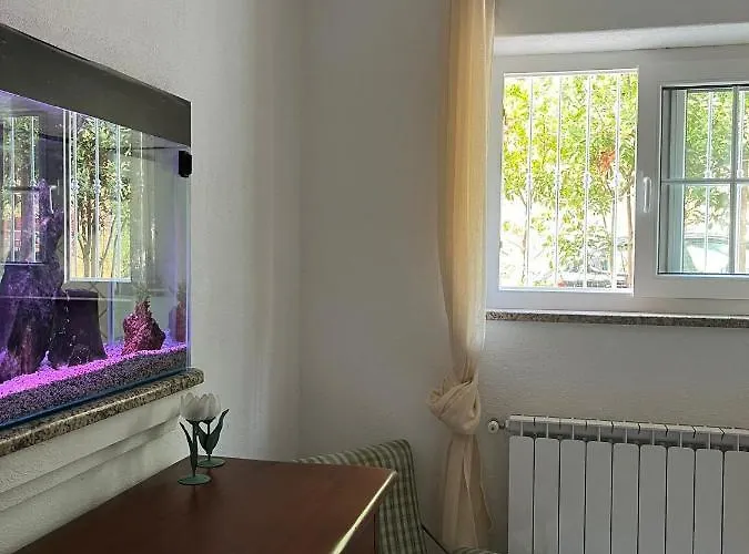 Casa Impagliazzo 3* Forio di Ischia